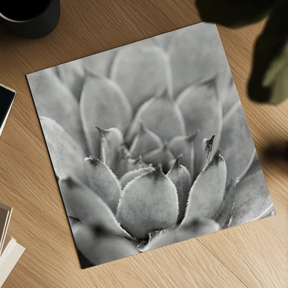 Garden Succulent I by Laura Marshall. Shown as a detailed flat fine art print, highlighting archival giclee quality. Available as an archival giclee rolled canvas, fine art paper, or poster print. SKU 20824a.