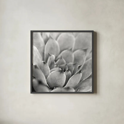 Garden Succulent I by Laura Marshall. Shown in a sleek black glass frame for a contemporary gallery look. Available as an archival giclee rolled canvas, fine art paper, or poster print. SKU 20824a.