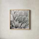 Garden Succulent I by Laura Marshall. Shown in a natural wood glass frame for a timeless modern aesthetic. Available as an archival giclee rolled canvas, fine art paper, or poster print. SKU 20824a.