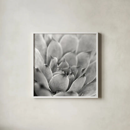 Garden Succulent I by Laura Marshall. Shown in a crisp white glass frame for a clean and minimalist style. Available as an archival giclee rolled canvas, fine art paper, or poster print. SKU 20824a.