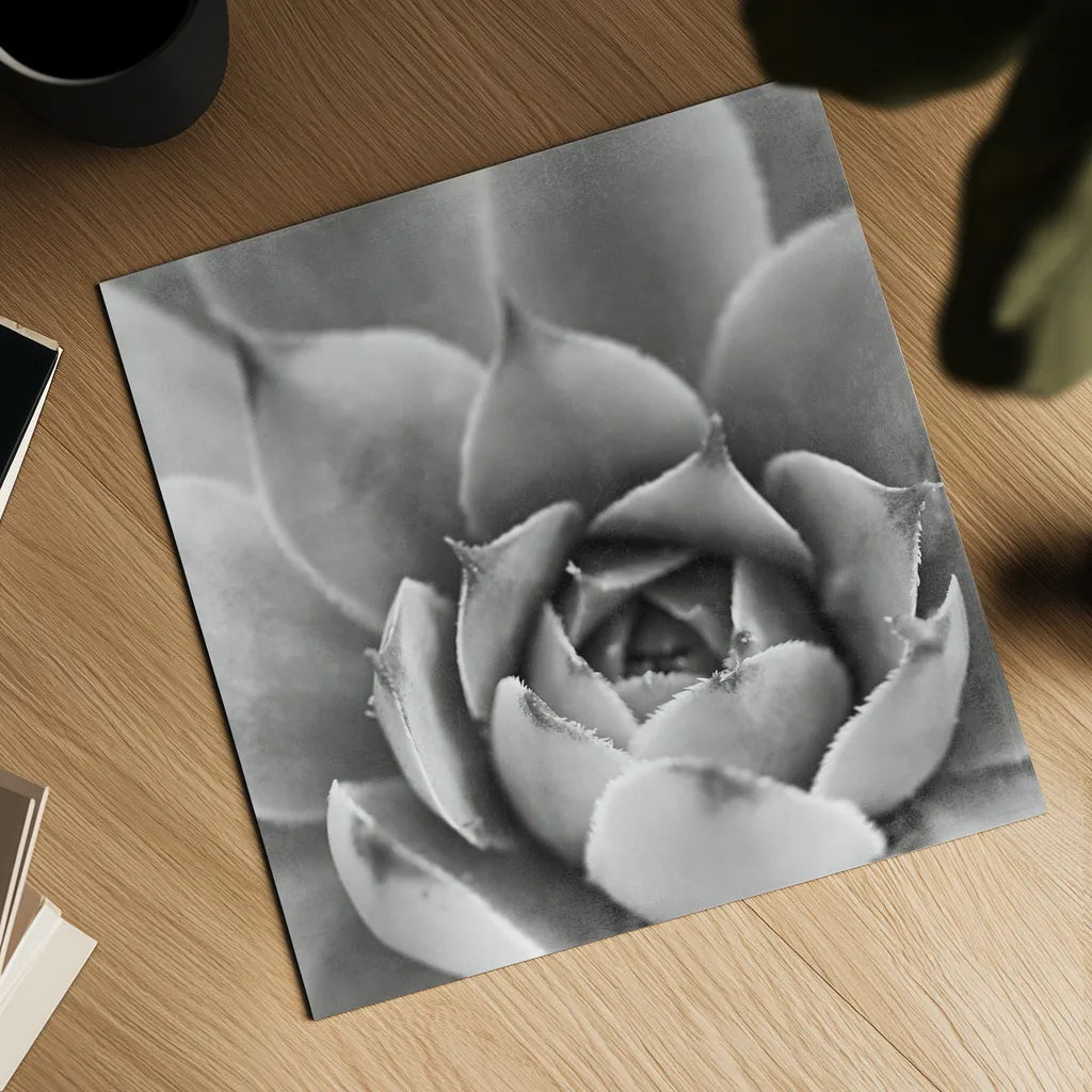 Garden Succulent III by Laura Marshall. Shown as a detailed flat fine art print, highlighting archival giclee quality. Available as an archival giclee rolled canvas, fine art paper, or poster print. SKU 20826a.