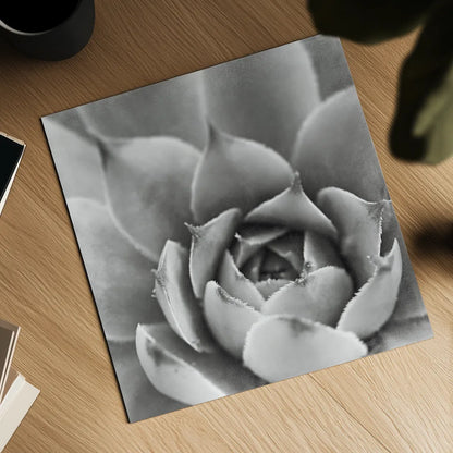 Garden Succulent III by Laura Marshall. Shown as a detailed flat fine art print, highlighting archival giclee quality. Available as an archival giclee rolled canvas, fine art paper, or poster print. SKU 20826a.