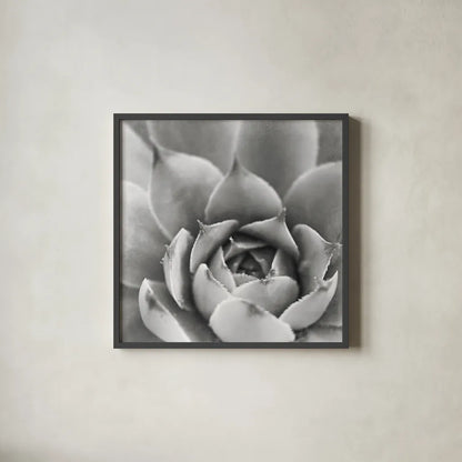 Garden Succulent III by Laura Marshall. Shown in a sleek black glass frame for a contemporary gallery look. Available as an archival giclee rolled canvas, fine art paper, or poster print. SKU 20826a.