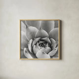 Garden Succulent III by Laura Marshall. Shown in a natural wood glass frame for a timeless modern aesthetic. Available as an archival giclee rolled canvas, fine art paper, or poster print. SKU 20826a.