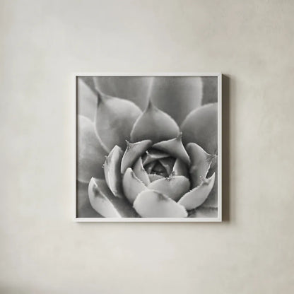 Garden Succulent III by Laura Marshall. Shown in a crisp white glass frame for a clean and minimalist style. Available as an archival giclee rolled canvas, fine art paper, or poster print. SKU 20826a.