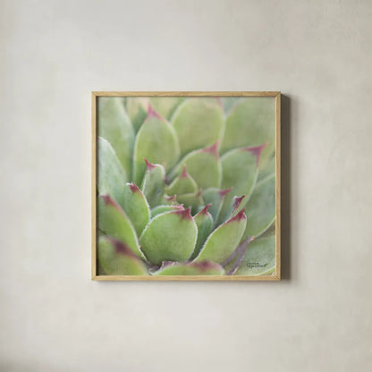 Garden Succulents I Color by Laura Marshall. Shown in a natural wood glass frame for a timeless modern aesthetic. Available as an archival giclee rolled canvas, fine art paper, or poster print. SKU 33277a.