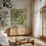 Garden Succulents II Color by Laura Marshall. Shown in a natural wood frame in a cozy modern living room. Available as an archival giclee rolled canvas, fine art paper, or poster print. SKU 33278a.