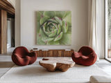 Garden Succulents II Color by Laura Marshall. Shown as extra-large giant wall art in a modern living room. Available as an archival giclee rolled canvas, fine art paper, or poster print. SKU 33278a.