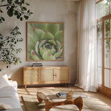 Garden Succulents III Color by Laura Marshall. Shown in a natural wood frame in a cozy modern living room. Available as an archival giclee rolled canvas, fine art paper, or poster print. SKU 33279a.