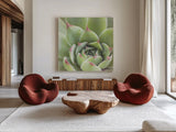 Garden Succulents III Color by Laura Marshall. Shown as extra-large giant wall art in a modern living room. Available as an archival giclee rolled canvas, fine art paper, or poster print. SKU 33279a.
