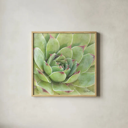 Garden Succulents IV Color by Laura Marshall. Shown in a natural wood glass frame for a timeless modern aesthetic. Available as an archival giclee rolled canvas, fine art paper, or poster print. SKU 33280a.