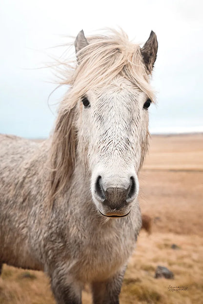 Heida I by Laura Marshall. SKU 49822h. Archival Giclee Fine art print for wall decor.