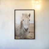 Heida I by Laura Marshall. shown as a paper print in a black flame. Available as a archival giclee rolled canvas, fine art paper, or poster print. SKU 49822h.