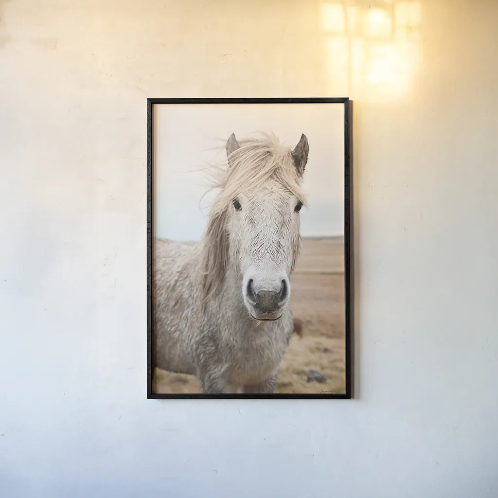 Heida I by Laura Marshall. shown as a paper print in a black flame. Available as a archival giclee rolled canvas, fine art paper, or poster print. SKU 49822h.