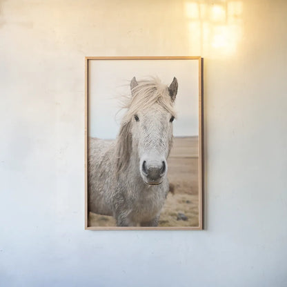 Heida I by Laura Marshall. shown as a paper print in a natural frame. Available as a archival giclee rolled canvas, fine art paper, or poster print. SKU 49822h.