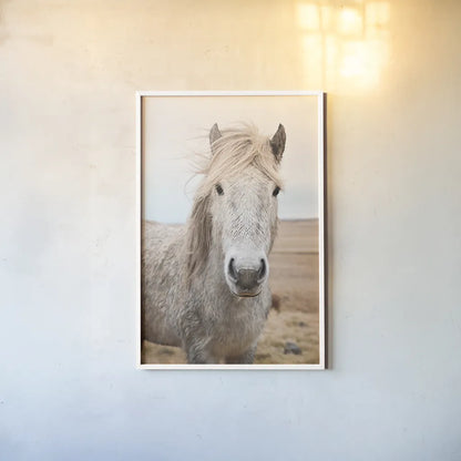 Heida I by Laura Marshall. shown as a paper print in a white frame. Available as a archival giclee rolled canvas, fine art paper, or poster print. SKU 49822h.