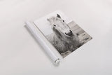 Heida I BW by Laura Marshall. shown as a rolled paper print. Available as archival giclee rolled canvas, fine art paper, or poster print. SKU 49823h.