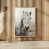 Heida I BW by Laura Marshall. shown as over sized large wall art. Available as an archival giclee rolled canvas, fine art paper, or poster print. SKU 49823h.