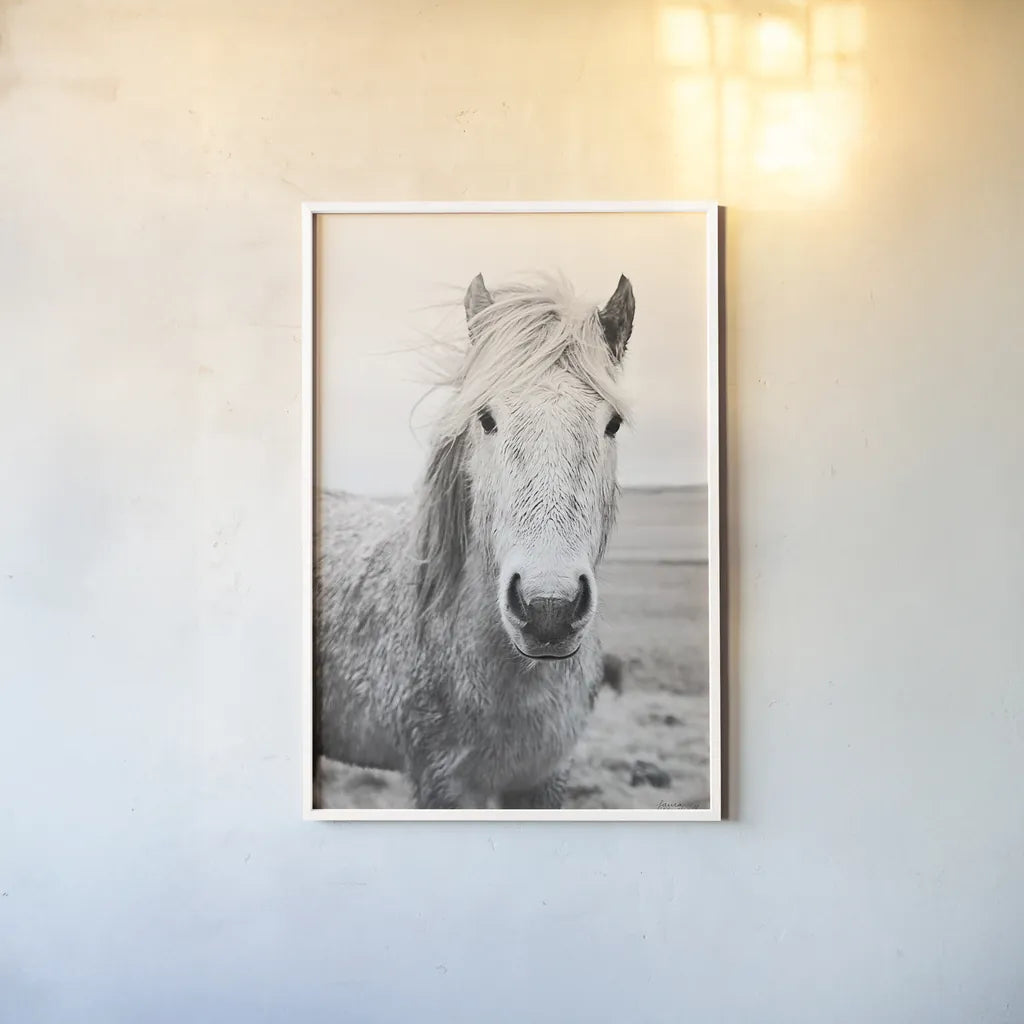 Heida I BW by Laura Marshall. shown as a paper print in a white frame. Available as a archival giclee rolled canvas, fine art paper, or poster print. SKU 49823h.