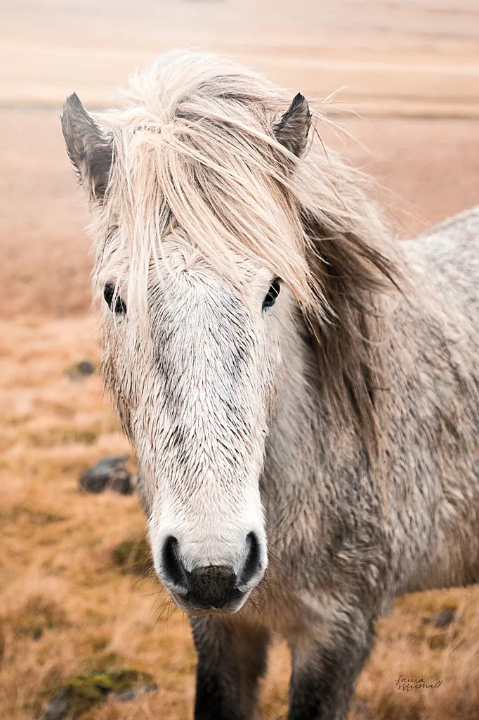 Heida II by Laura Marshall. SKU 49824h. Archival Giclee Fine art print for wall decor.