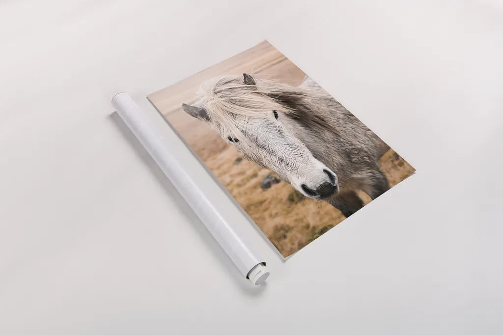 Heida II by Laura Marshall. shown as a rolled paper print. Available as archival giclee rolled canvas, fine art paper, or poster print. SKU 49824h.