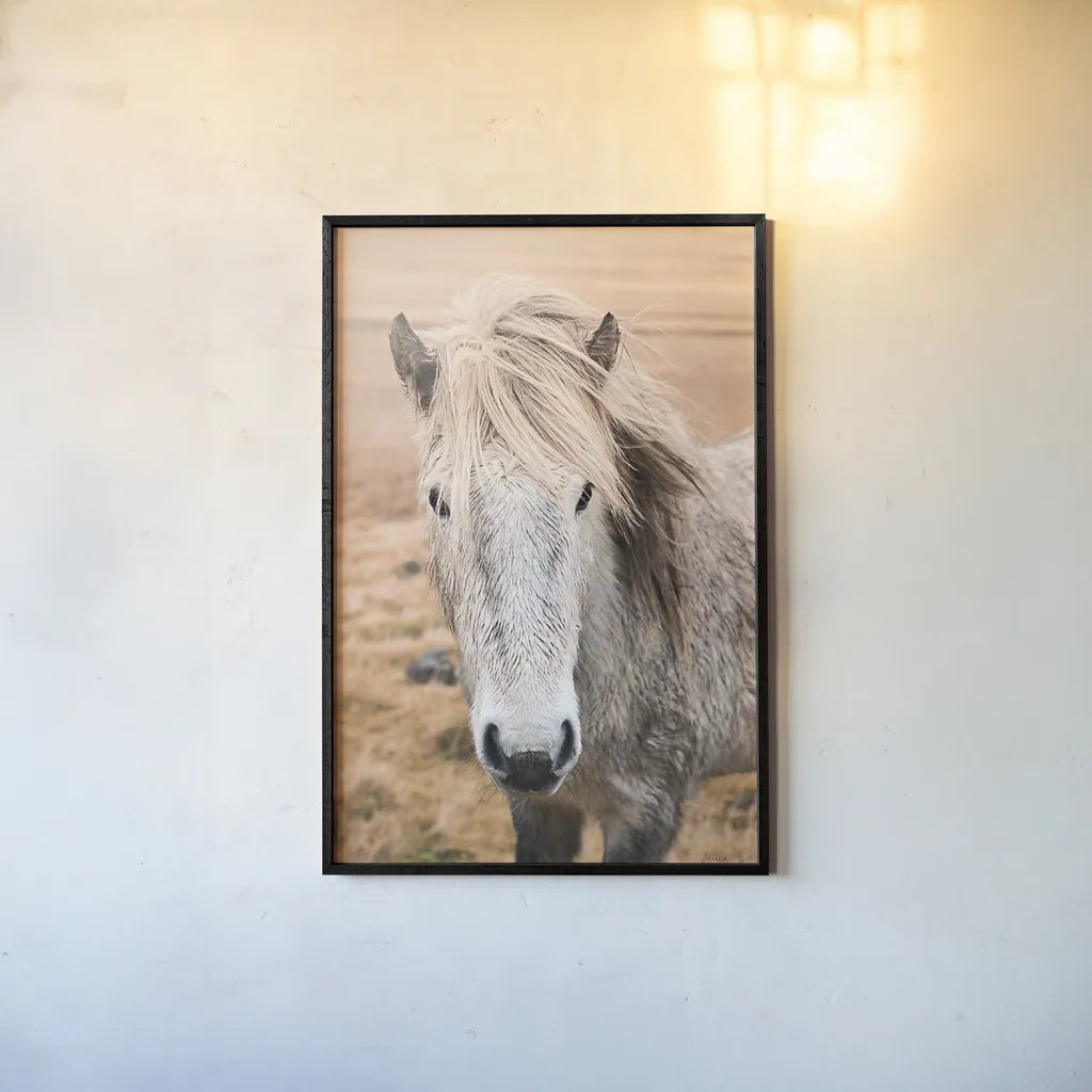 Heida II by Laura Marshall. shown as a paper print in a black flame. Available as a archival giclee rolled canvas, fine art paper, or poster print. SKU 49824h.