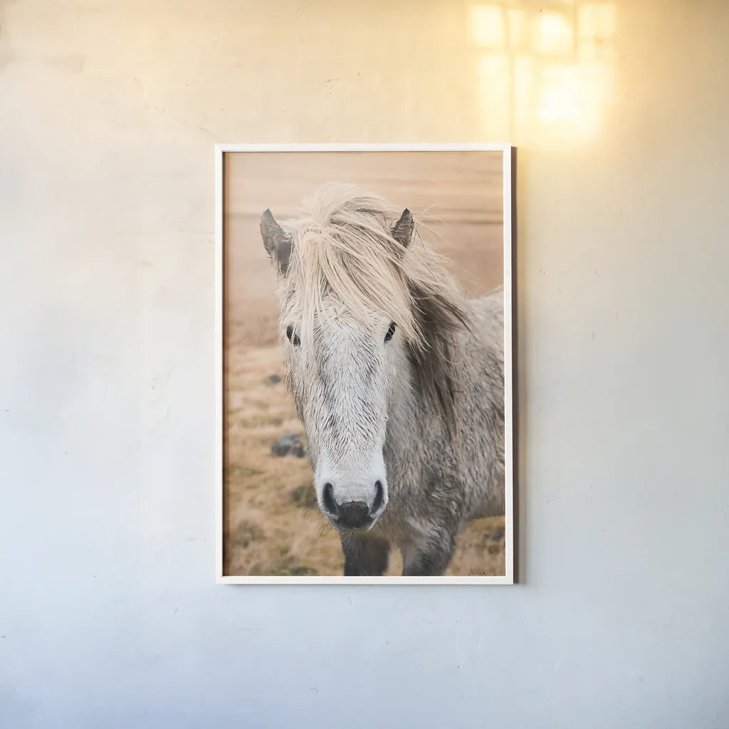 Heida II by Laura Marshall. shown as a paper print in a white frame. Available as a archival giclee rolled canvas, fine art paper, or poster print. SKU 49824h.