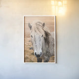 Heida II by Laura Marshall. shown as a paper print in a white frame. Available as a archival giclee rolled canvas, fine art paper, or poster print. SKU 49824h.