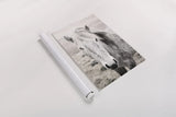 Heida II BW by Laura Marshall. shown as a rolled paper print. Available as archival giclee rolled canvas, fine art paper, or poster print. SKU 49825h.