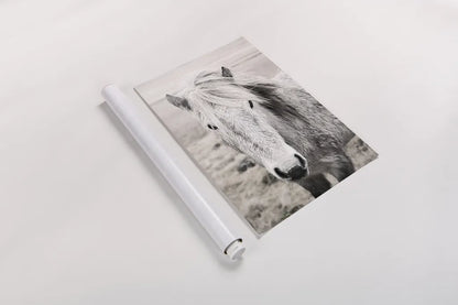 Heida II BW by Laura Marshall. shown as a rolled paper print. Available as archival giclee rolled canvas, fine art paper, or poster print. SKU 49825h.