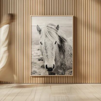 Heida II BW by Laura Marshall. shown as over sized large wall art. Available as an archival giclee rolled canvas, fine art paper, or poster print. SKU 49825h.