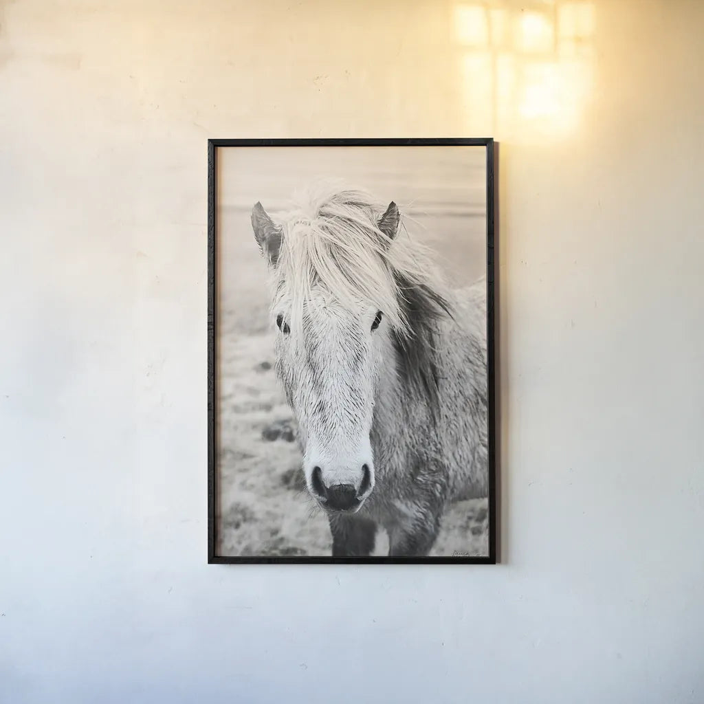 Heida II BW by Laura Marshall. shown as a paper print in a black flame. Available as a archival giclee rolled canvas, fine art paper, or poster print. SKU 49825h.