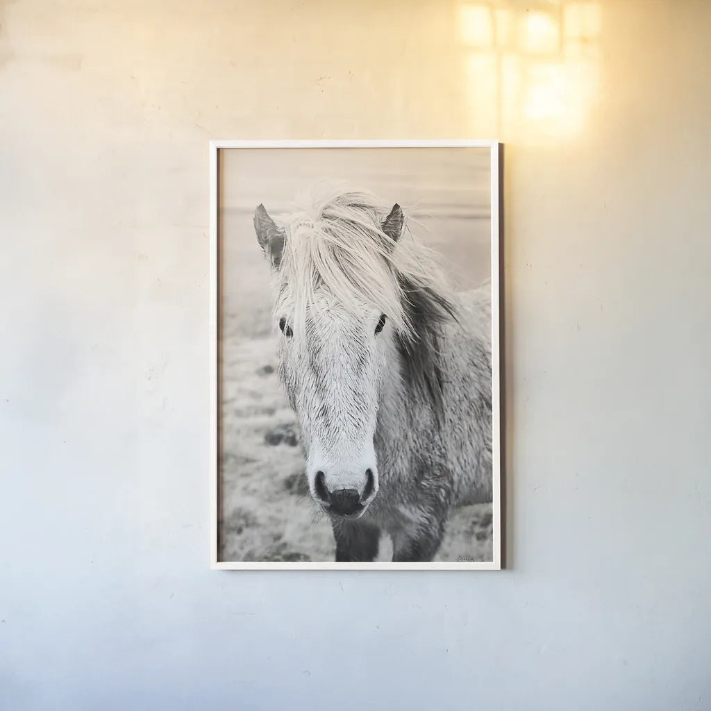 Heida II BW by Laura Marshall. shown as a paper print in a white frame. Available as a archival giclee rolled canvas, fine art paper, or poster print. SKU 49825h.