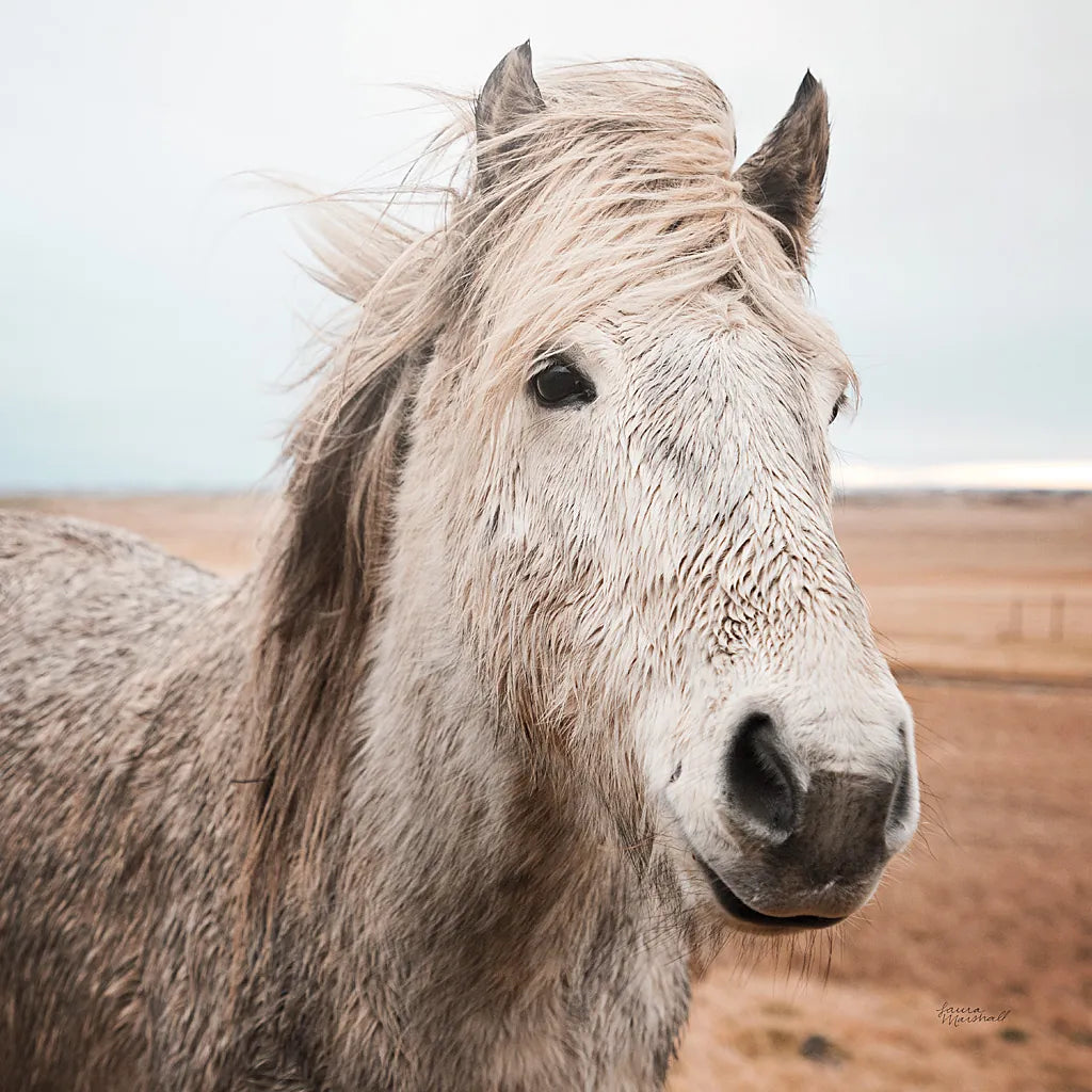 Heida III by Laura Marshall. SKU 49826a. Archival Giclee Fine art print for wall decor.