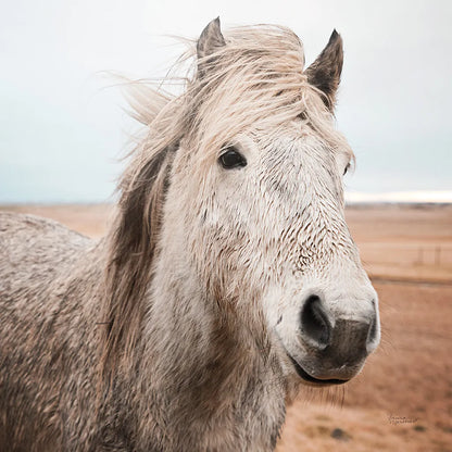 Heida III by Laura Marshall. SKU 49826a. Archival Giclee Fine art print for wall decor.