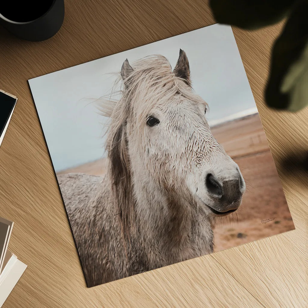 Heida III by Laura Marshall. Shown as a detailed flat fine art print, highlighting archival giclee quality. Available as an archival giclee rolled canvas, fine art paper, or poster print. SKU 49826a.