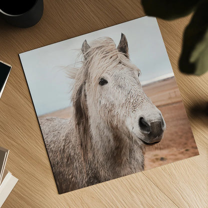 Heida III by Laura Marshall. Shown as a detailed flat fine art print, highlighting archival giclee quality. Available as an archival giclee rolled canvas, fine art paper, or poster print. SKU 49826a.