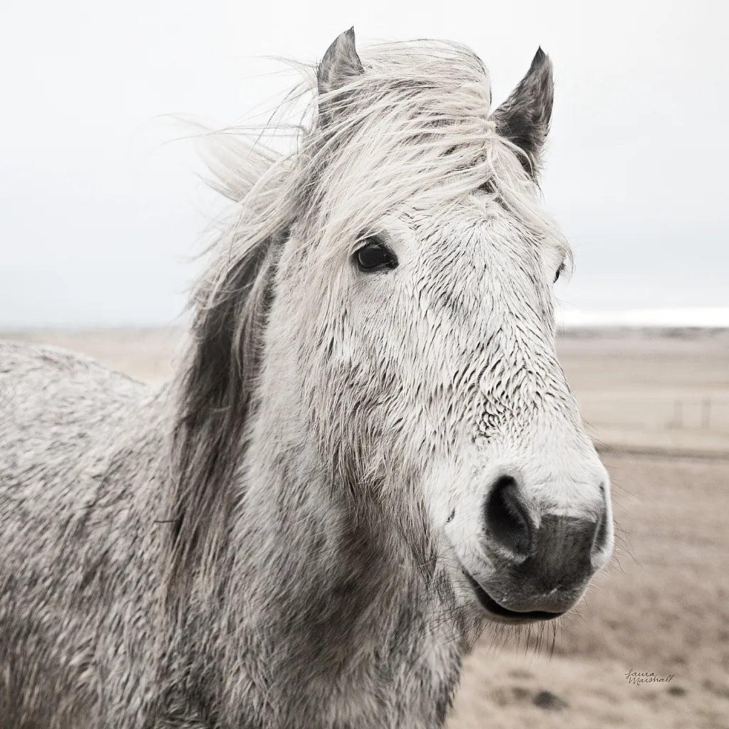 Heida III BW by Laura Marshall. SKU 49827a. Archival Giclee Fine art print for wall decor.