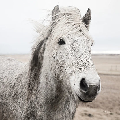 Heida III BW by Laura Marshall. SKU 49827a. Archival Giclee Fine art print for wall decor.