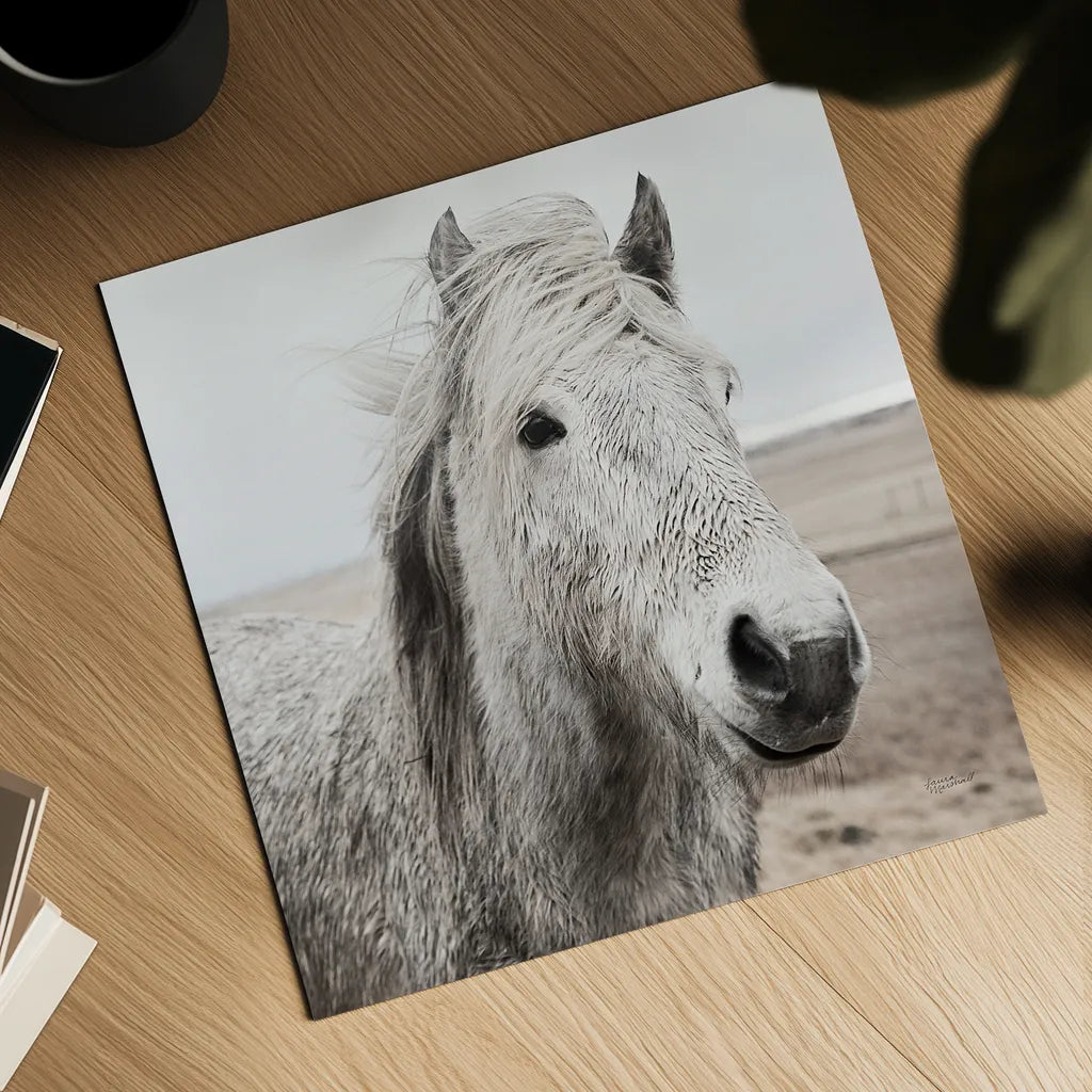 Heida III BW by Laura Marshall. Shown as a detailed flat fine art print, highlighting archival giclee quality. Available as an archival giclee rolled canvas, fine art paper, or poster print. SKU 49827a.