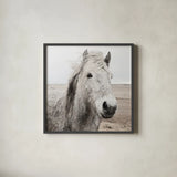 Heida III BW by Laura Marshall. Shown in a sleek black glass frame for a contemporary gallery look. Available as an archival giclee rolled canvas, fine art paper, or poster print. SKU 49827a.