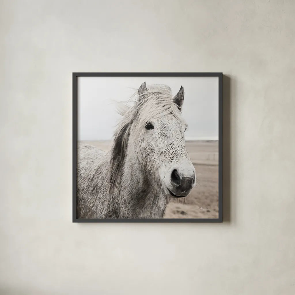 Heida III BW by Laura Marshall. Shown in a sleek black glass frame for a contemporary gallery look. Available as an archival giclee rolled canvas, fine art paper, or poster print. SKU 49827a.