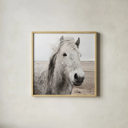 Heida III BW by Laura Marshall. Shown in a natural wood glass frame for a timeless modern aesthetic. Available as an archival giclee rolled canvas, fine art paper, or poster print. SKU 49827a.