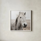 Heida III BW by Laura Marshall. Shown in a crisp white glass frame for a clean and minimalist style. Available as an archival giclee rolled canvas, fine art paper, or poster print. SKU 49827a.