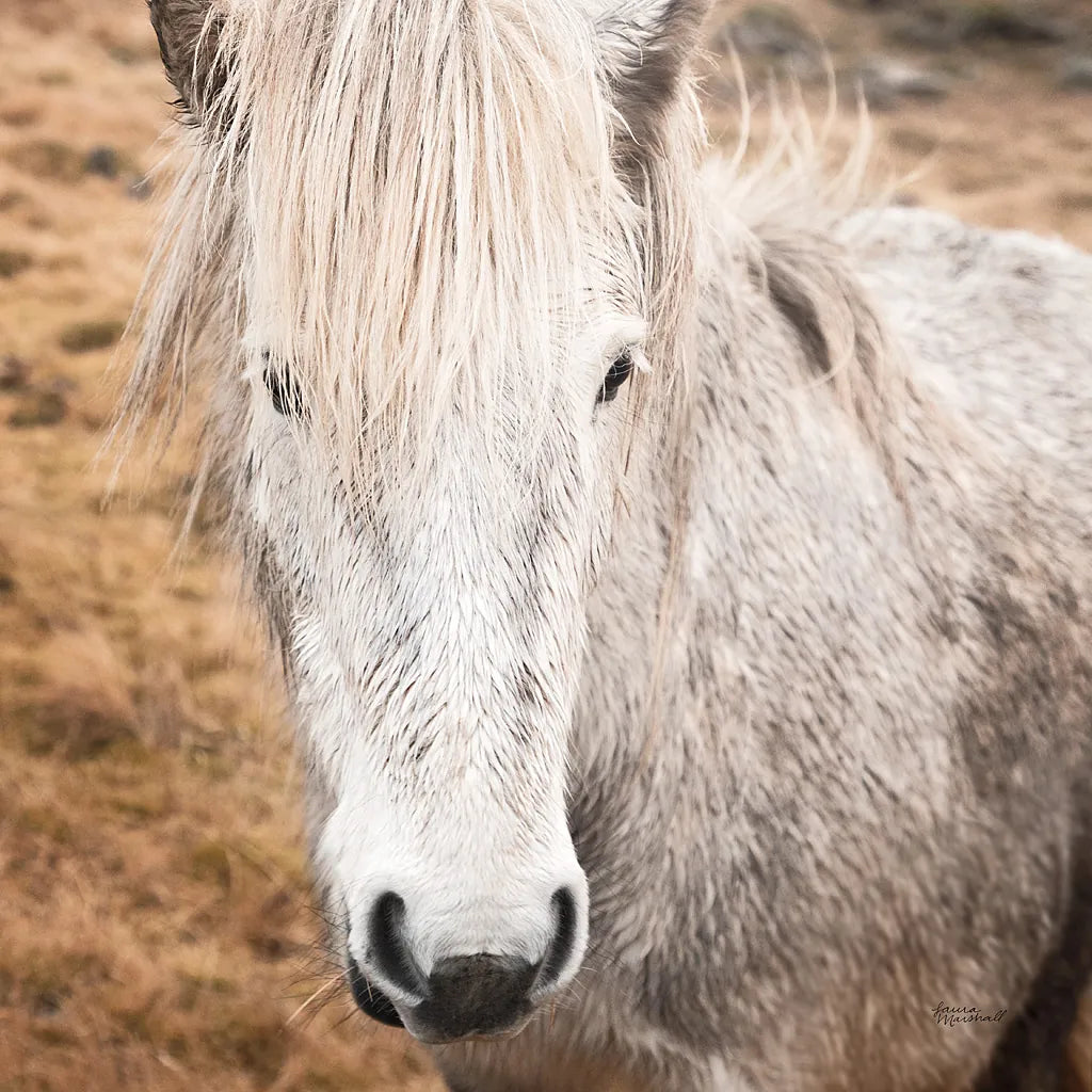 Heida IV by Laura Marshall. SKU 49828a. Archival Giclee Fine art print for wall decor.