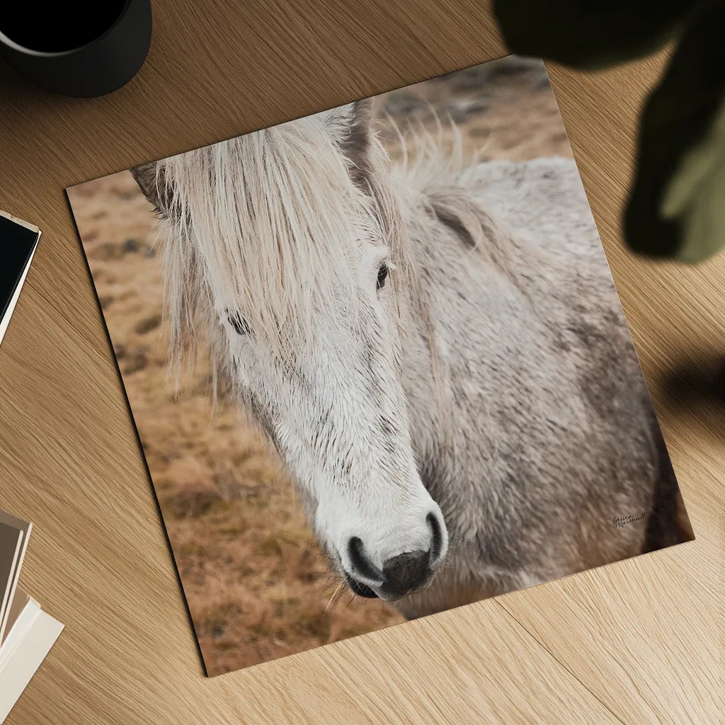 Heida IV by Laura Marshall. Shown as a detailed flat fine art print, highlighting archival giclee quality. Available as an archival giclee rolled canvas, fine art paper, or poster print. SKU 49828a.