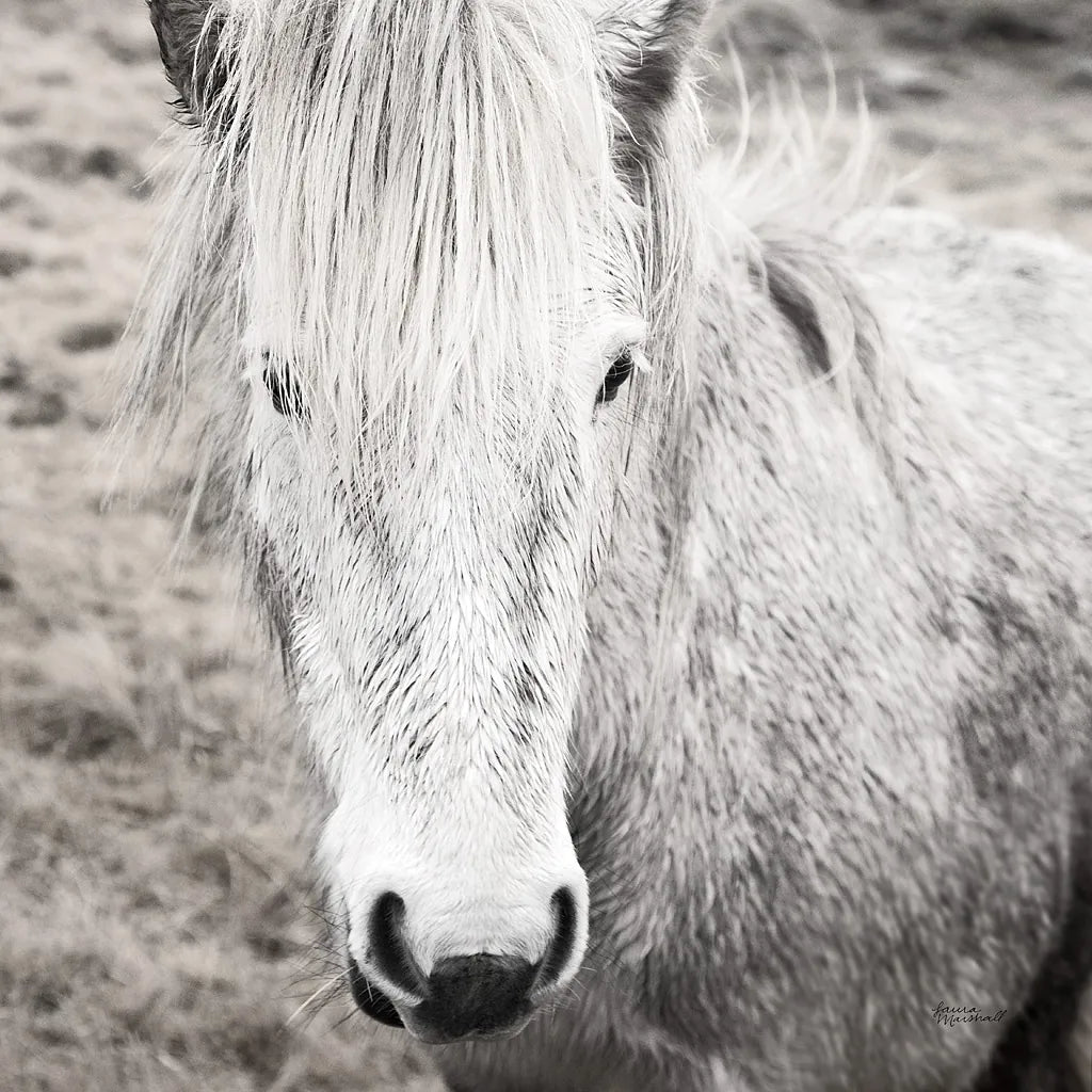 Heida IV BW by Laura Marshall. SKU 49829a. Archival Giclee Fine art print for wall decor.