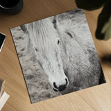 Heida IV BW by Laura Marshall. Shown as a detailed flat fine art print, highlighting archival giclee quality. Available as an archival giclee rolled canvas, fine art paper, or poster print. SKU 49829a.