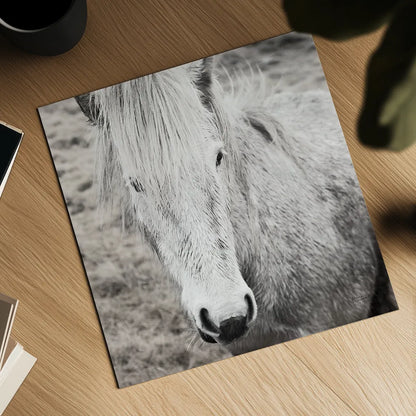 Heida IV BW by Laura Marshall. Shown as a detailed flat fine art print, highlighting archival giclee quality. Available as an archival giclee rolled canvas, fine art paper, or poster print. SKU 49829a.