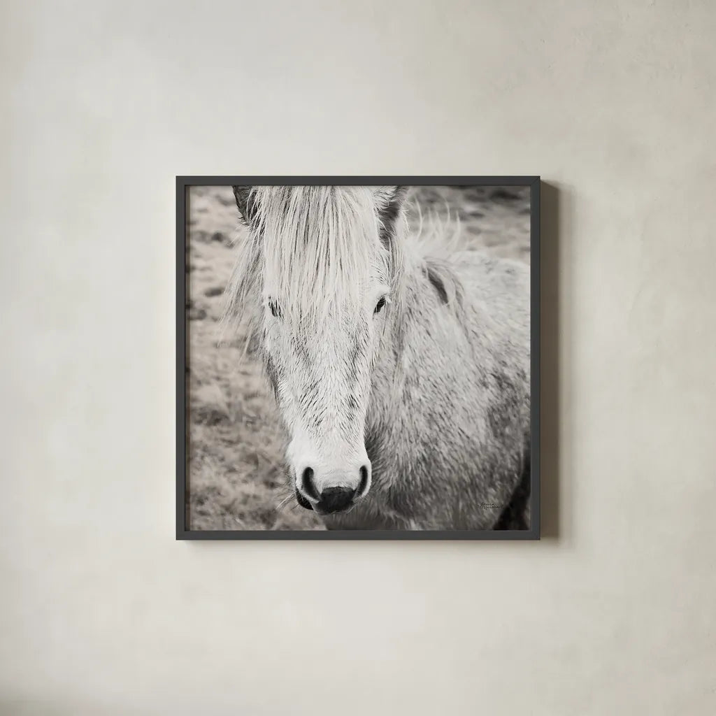 Heida IV BW by Laura Marshall. Shown in a sleek black glass frame for a contemporary gallery look. Available as an archival giclee rolled canvas, fine art paper, or poster print. SKU 49829a.